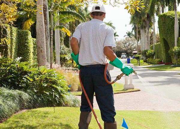 About Jamestown RI Pest Control